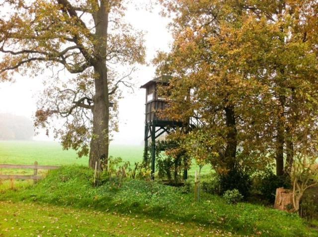 Landhotel Waldseiter Hof Bad Bentheim Zewnętrze zdjęcie